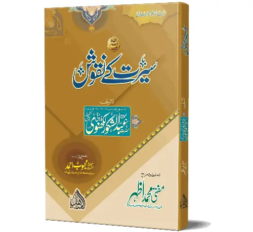 Seerat ke Naqoosh - Impressions of biography